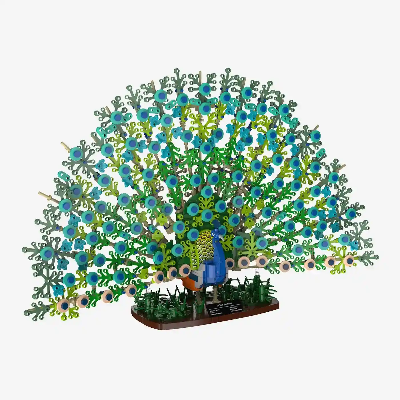 BlueBrixx 109009 – Blauer Pfau